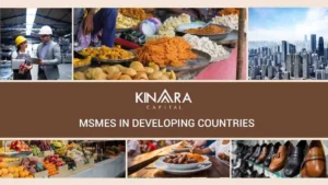 MSMEs in Developing Countries
