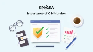 CIN number importance